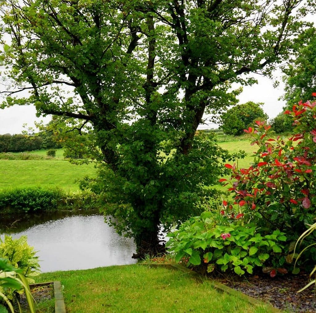 3 astuces pour avoir un beau jardin toute l’année